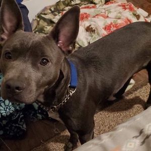 Meet your Posher, Alexus